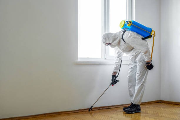 Best Organic or Eco-Friendly Pest Control  in Battle Creek, MI